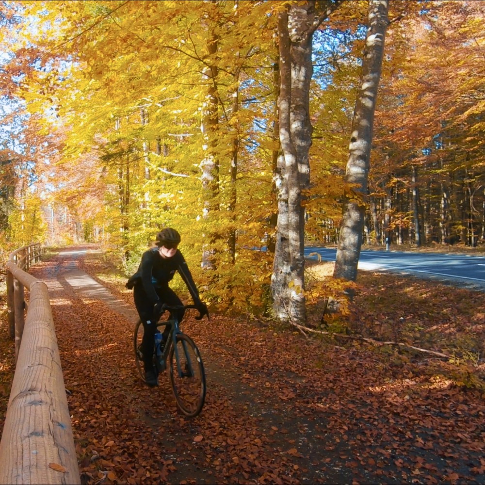 Radfahren im Herbst - schmerzfrei mit dem Sattel von Infinity Bike Seat